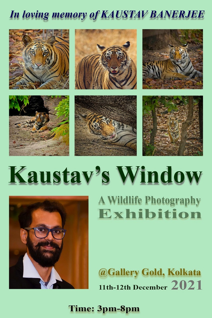 kautav's window