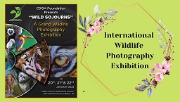 Wildlife Photography Exhibition